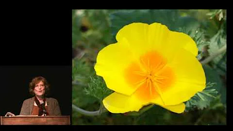 Judith Lowrey1.mp4