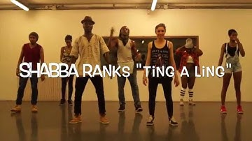 Dancehall Master®, Camron One-Shot, Shabba Ranks Ting a Ling