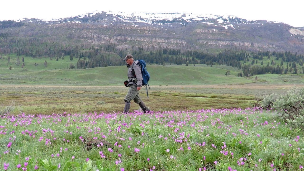 slough creek trail yellowstone