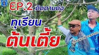 Ep.2 ทุเรียนต้นเตี้ย ที่ ปาดังเบซาร์ จ.สงขลา กับพี่สมพงษ์ //by อ.กริช 080-660 6409