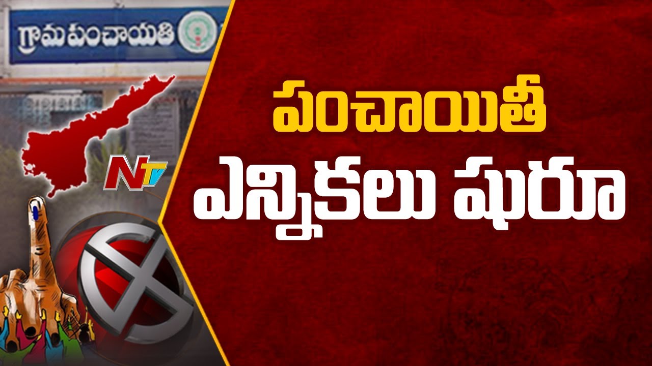 AP Panchayat Elections: First Phase Of Polling Begins In Krishna & Anantapur | NTV
