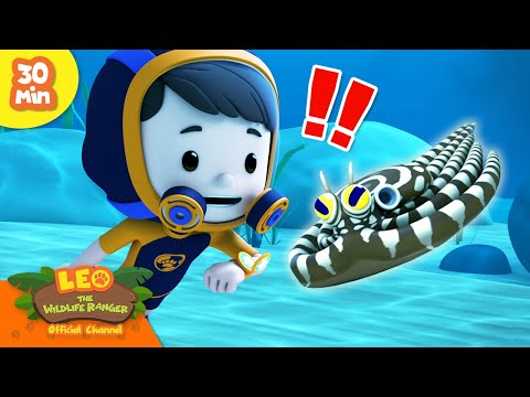🐙 BEST IMPERSONATIONS!! 🪞 Mimic Octopus, Lyrebirds & more! | Leo the Wildlife Ranger | Kids Cartoons
