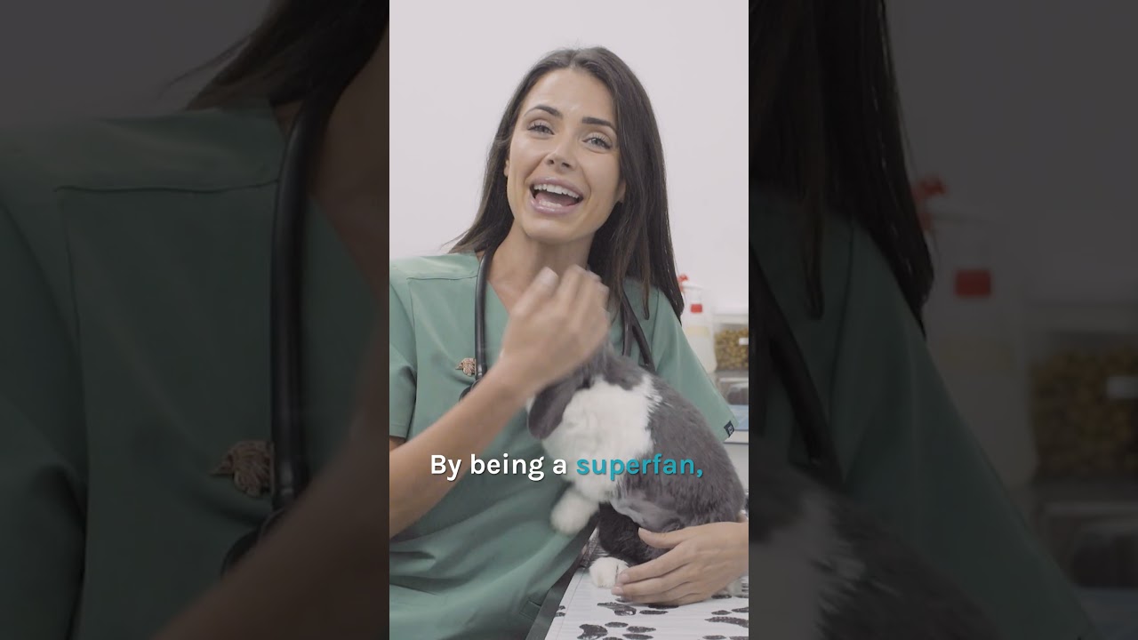 Bondi Vet Membership ⭐️ Join The Magic! | Bondi Vet 