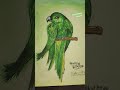 #song#basudevpur #love#song #entertainment#dance#dance #flowerarrangement#bhadrak #drawing#birdtrend