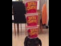 Talentoso perro muestra excelentes habilidades de equilibrio con la cabeza
