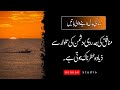 Quotes About Life | Urdu Quotes | Best Quotes In Urdu |  Sad Quotes | Hannan Studio