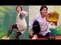 【絶対見て】可愛くて野球上手すぎる二刀流女子！西武ライオンズ・レディース小林夕衣が豪速球とビタドメ連発！ムコウズ全員が惚れました。