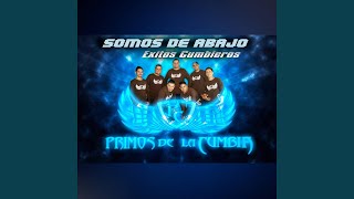 Cuidar nuestro amor - LOS MACIAS PRIMOS CUMBIA