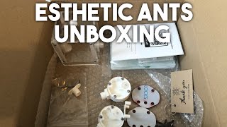 Esthetic Ants unboxing | Gecko Ants