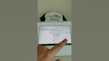 Payout Report In Clover Explained