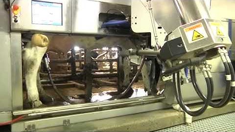 DeLaval VMS robotic milking testimonial film Diederich Fa...