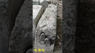 Fails 2085 #funny #memes #humor #comedy #shortvideos #funnytiktokvideos #funnyvideos