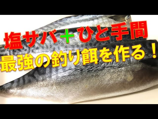 絶対に釣れるエサ サバの塩漬けにひと工夫で最強の釣り餌を作る Youtube