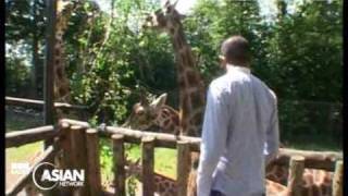 Adil Ray At The Zoo Part 3