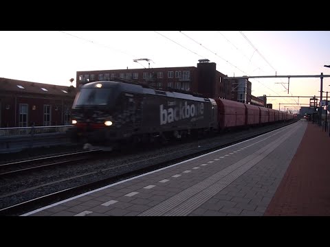 DB Cargo 193 318 "Backbone" te Houten Castellum 14 april 2021