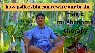 Famous how psilocybin  can rewire our brain, its therapeutic benefits Wealth