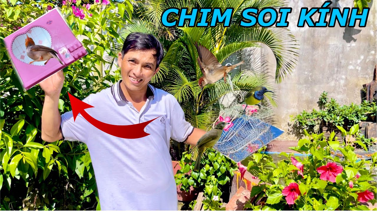 Chế Tạo Bẩy Chim Tự Động Cực Nhạy Không Cần Dùng Chim Mồi