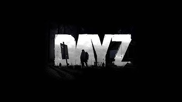 Never Go AFK in DayZ