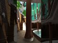 Hyda Nature Park Walking In First Person Planet Coaster 2