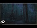 Heavy Rain and Thunderstorm Sound in Forest at Summer Night for Sleeping - 10 Hours Rain