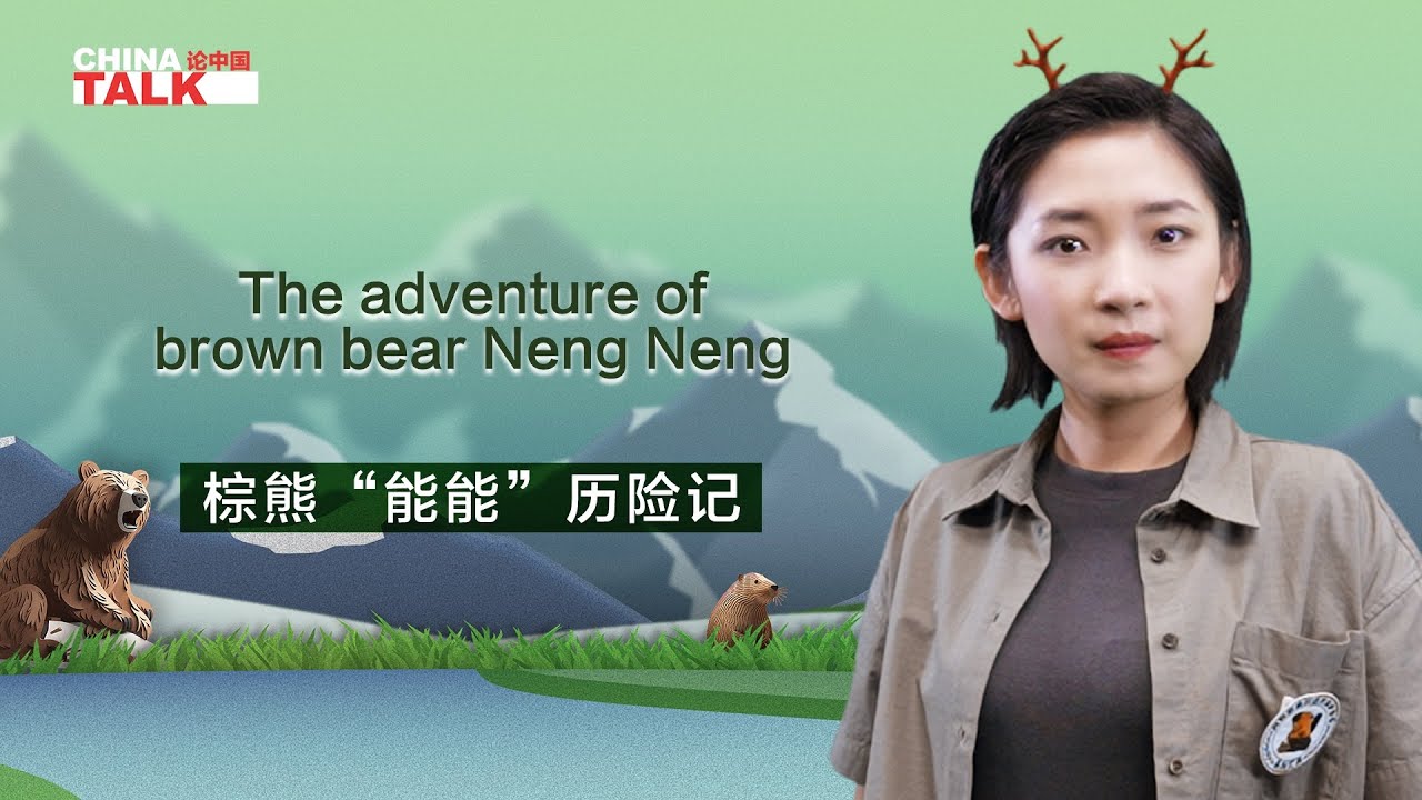 the-adventure-of-brown-bear-neng-neng-youtube