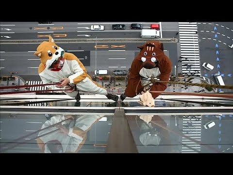 euronews grecia Cleaners dressed as zodiac animals clean hotel windows in Japan