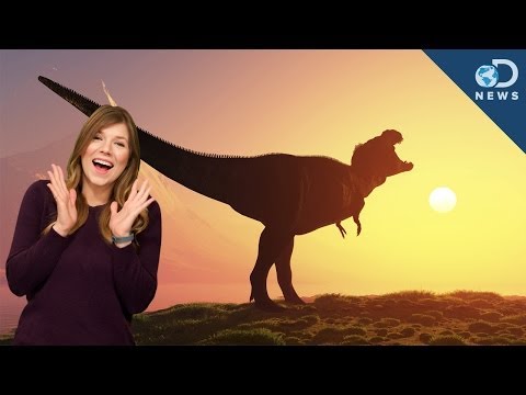 Video: Dinosaurs Could Have Survived - Alternative View