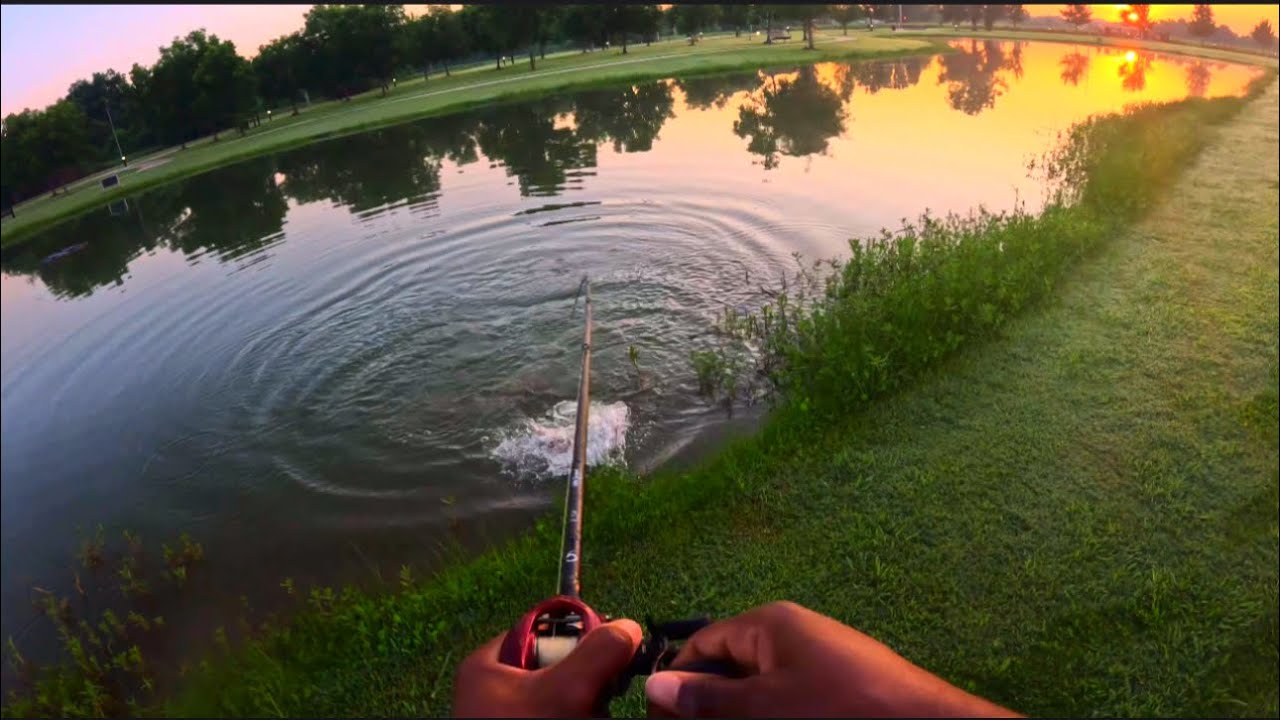 Small pond BIG BASS #bassfishing #jesus #fishing #popular #subscribe
