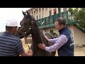Breeders' Cup Vet Safety