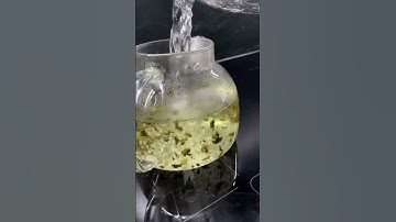 Spyderco Paramilitary 2 OD Green G10 CPM S90V