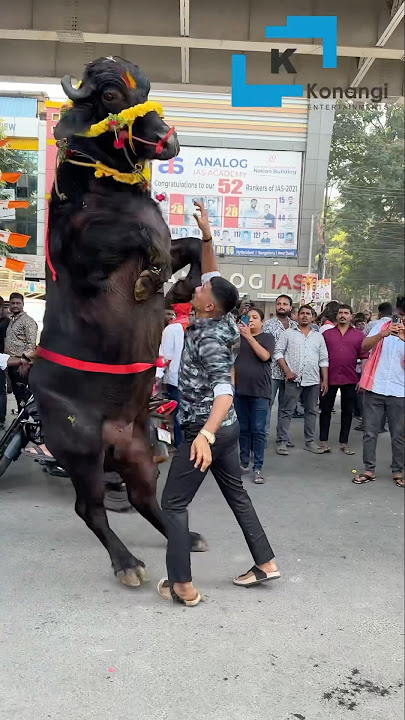 Sadar 2024 #Laddu Yadav Sadar 2024 #ladduyadav sadar | #khairatabadsadar sadar #sadarfestival