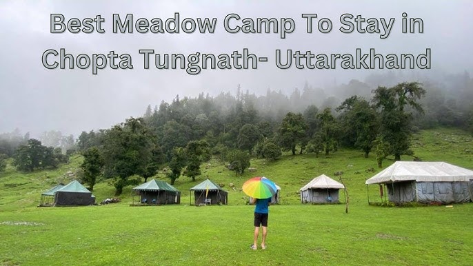 chopta tour packages