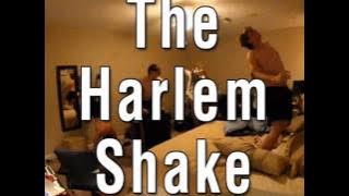 Bauer -Harlem Shake Original