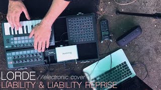 Video thumbnail of "Lorde - Liability & Liability Reprise Cover"
