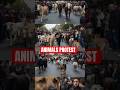 Animals Finally Protest Against Humans | A Powerful Wake-Up Call🫶😓