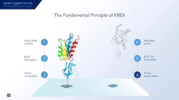 Sengenics KREX technology for biomarker discovery, patient stratification and companion diagnostics