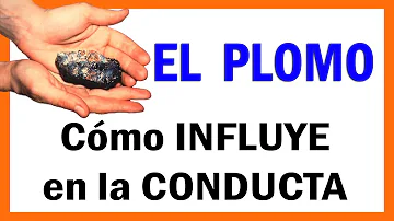 ¿Qué reduce la absorción de plomo?