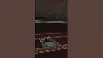 سورة الإخلاص بصوت فضيلة الشيخ د.ماهر المعيقلي