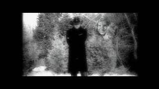 Tim McGraw - When The Stars Go Blue