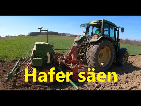 Video: Wann und wie Hafer säen?