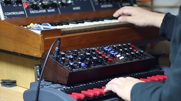 [Part1] Behringer Model D vs minimoog Model D (1972)