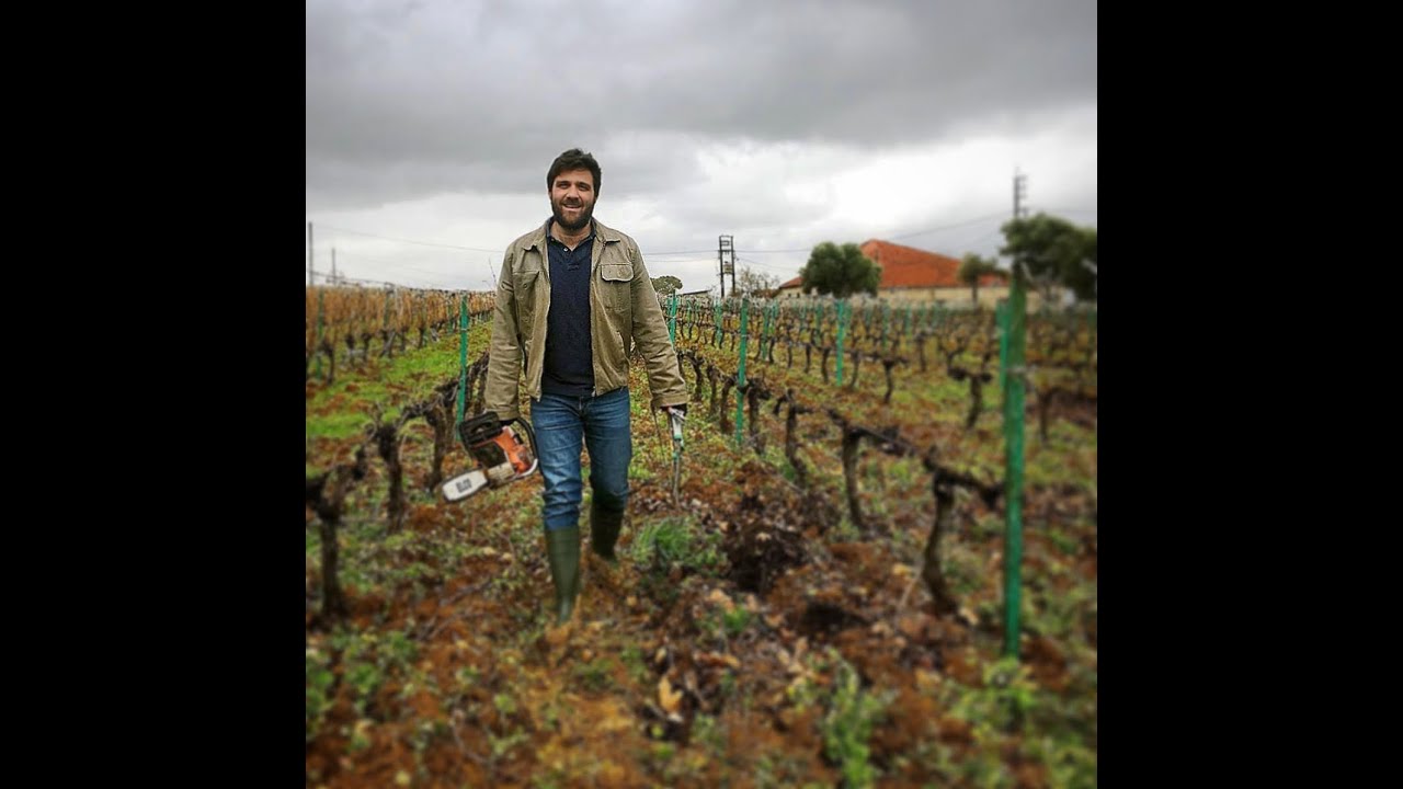 WINE and WAR with Fauzi Issa | Domaine de Tourelles