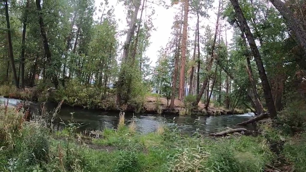 Bridge Campground Hat Creek