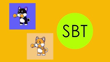 Soulbound Tokens (SBT) on TON Blockchain