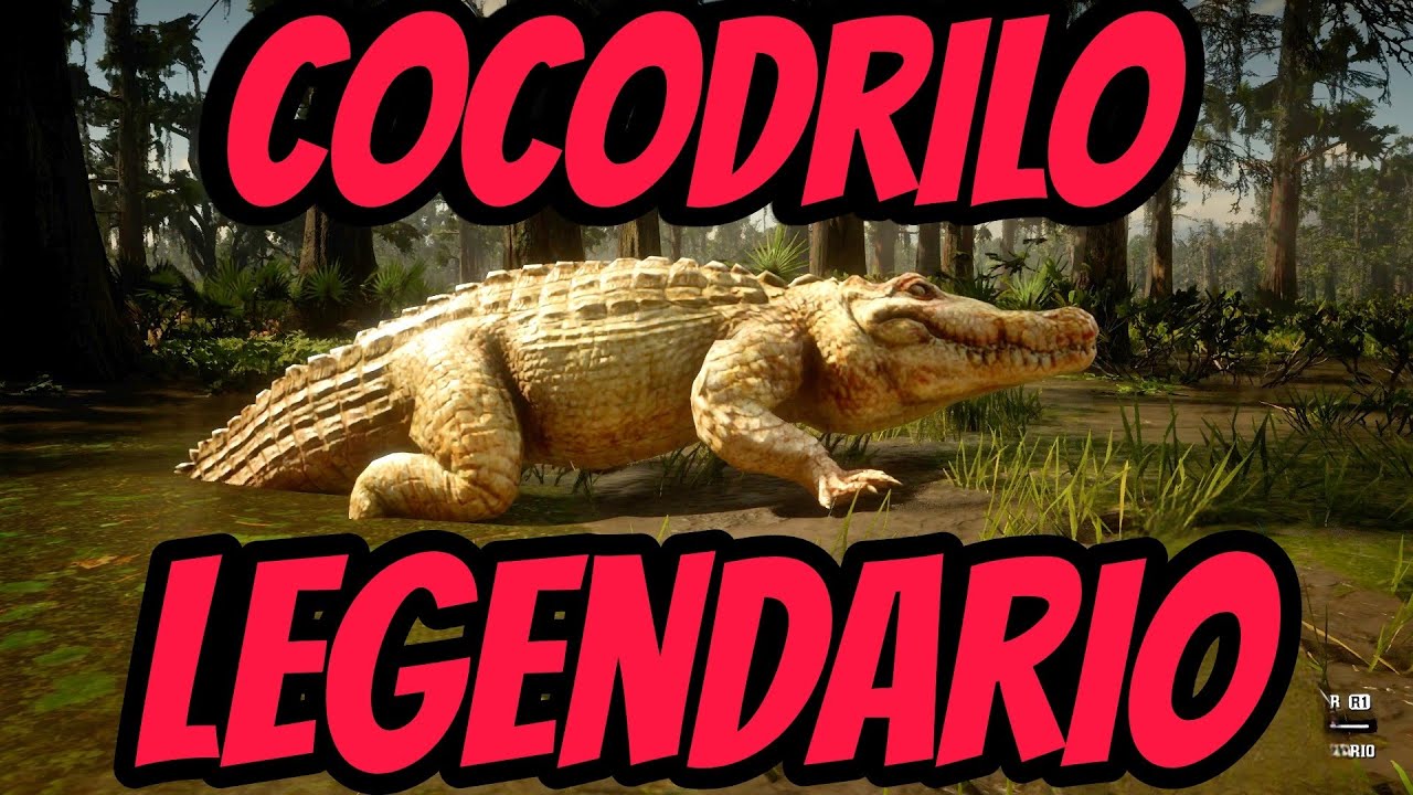 Cocodrilo Rdr2 Cazando al Cocodrilo legendario RDR2 - YouTube
