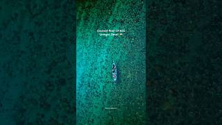 Asias Crystal Clear Umngot River A Must-See