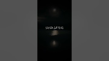 اواخر سورة البقرة - بلال دربالي