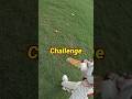 10000₹ ka Cricket Kit free mein 😍 | Go pro Pov |