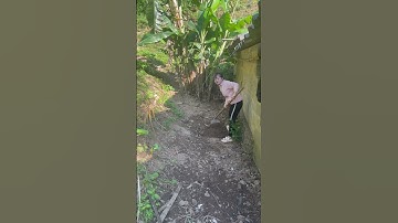 #cẩmvâncôgáixứlạng về lạng sơn