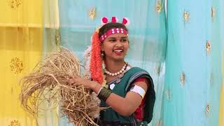School Annual Fanction - Shalini Vishwakrma Cg Dance 2024 Kotha Ma Paira Darech Nai Ho